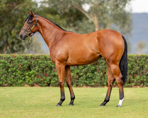 Lot 509: Hellbent / Partyhouse