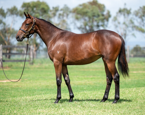 Lot 177: Too Darn Hot (GB) / Dreams and Wishes