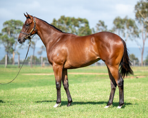 Lot 550: Exceedance / Pussycat Dream (GB)