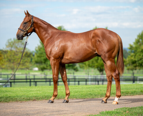 Lot 678: All Too Hard / Spoils