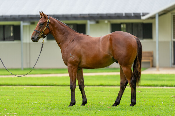 Lot 197: Farnan / Escape Artist