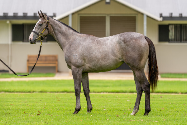 Lot 759: Pierro / Villa Verde