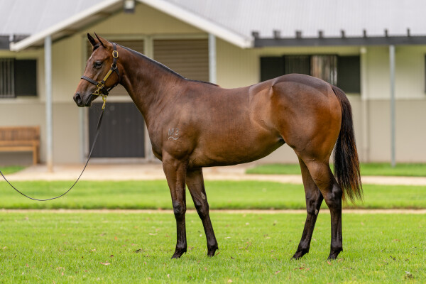 Lot 767: Captivant / War Heroine (USA)