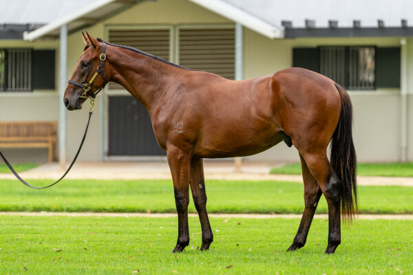 Lot 769: Prague / Waruna