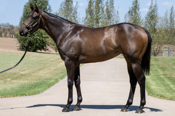 Lot 279: Ole Kirk / Heart of Siena