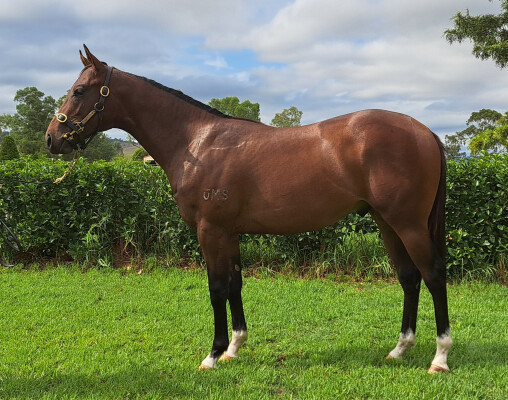 Lot 536: Exceedance / Preserving