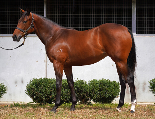 Lot 442: Hellbent / Mon Gypsy