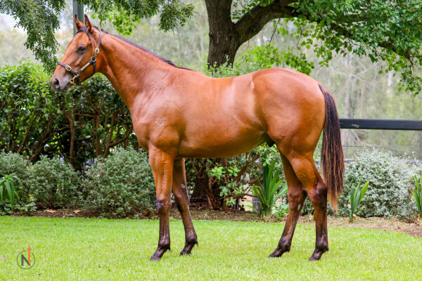 Lot 265: Written By / Gretna