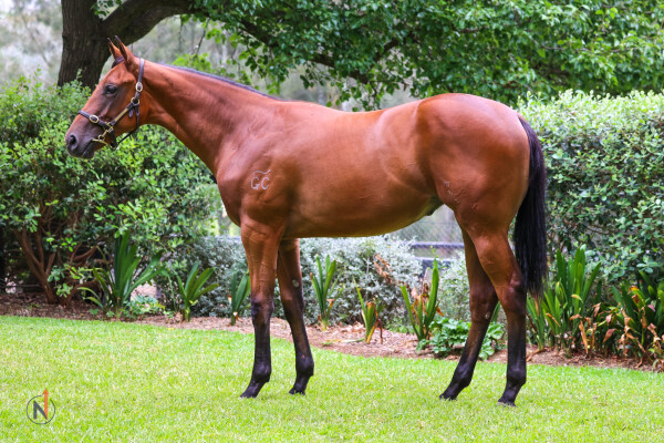 Lot 284: Astern / Hell It's Hot