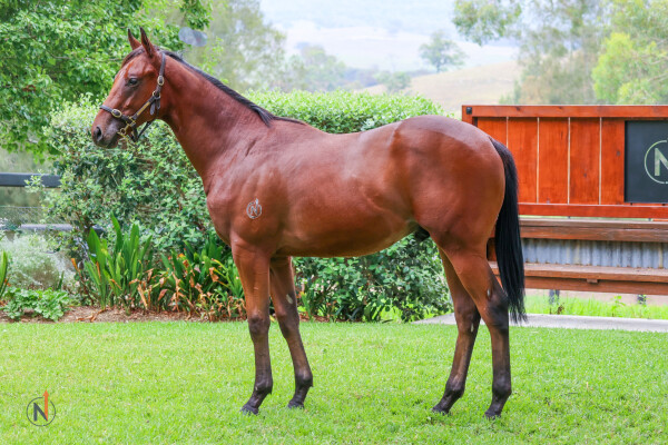 Lot 403: Profiteer / Magic I Am