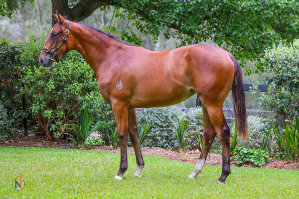 Lot 777: Wootton Bassett (GB) / Why Doubt