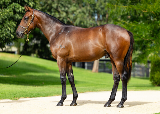 Lot 558: Stay Inside / Quench the Thirst