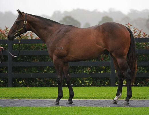 Lot 301: Ole Kirk / I Am