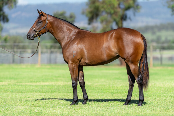 Lot 202: Stay Inside / Exclusive Lass