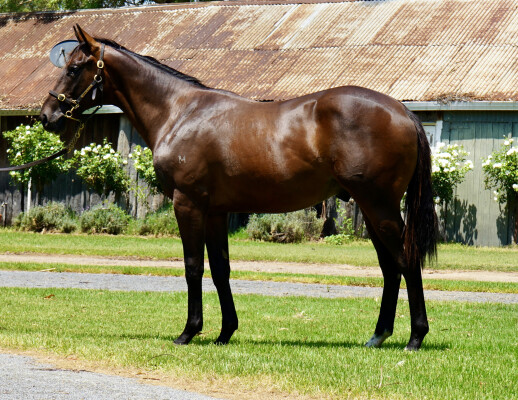 Lot 180: North Pacific / Dwindle