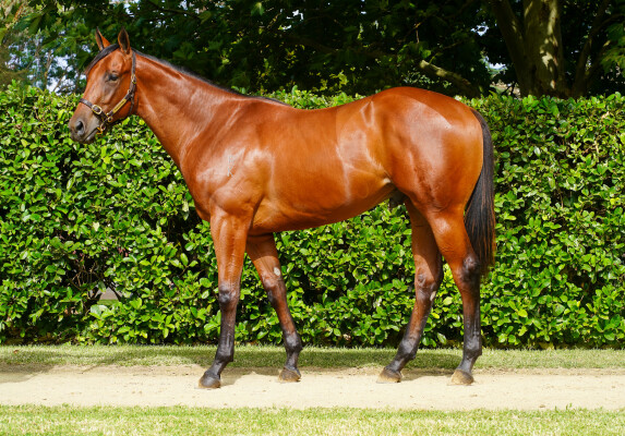 Lot 752: Written By / Valuchy