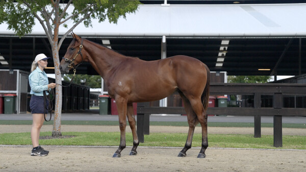 Lot 346: St Mark's Basilica (FR) / Kalidaz