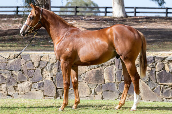 Lot 308: Rubick / I'm an Outoftowner