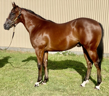 Lot 170: Cosmic Force / Divine Stryke