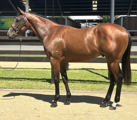 Lot 231: Tassort / Flying Flywheel