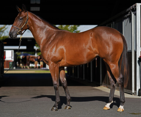 Lot 444: Spirit of Boom / Money in My Pocket