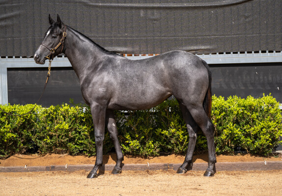 Lot 755: Dirty Work / Vegas Queen