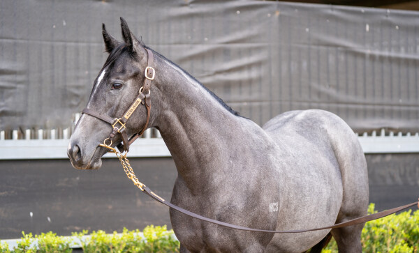 Lot 755: Dirty Work / Vegas Queen