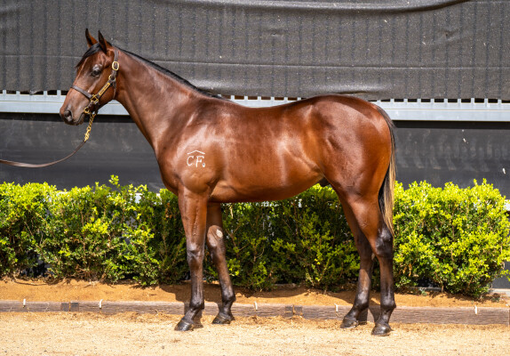 Lot 743: Farnan / Tuscan Piazza