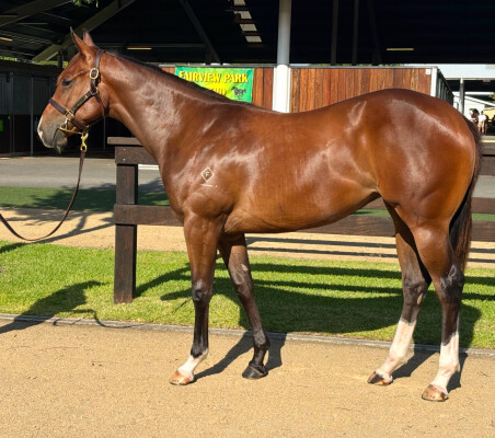 Lot 630: Spirit of Boom / She Za Boss