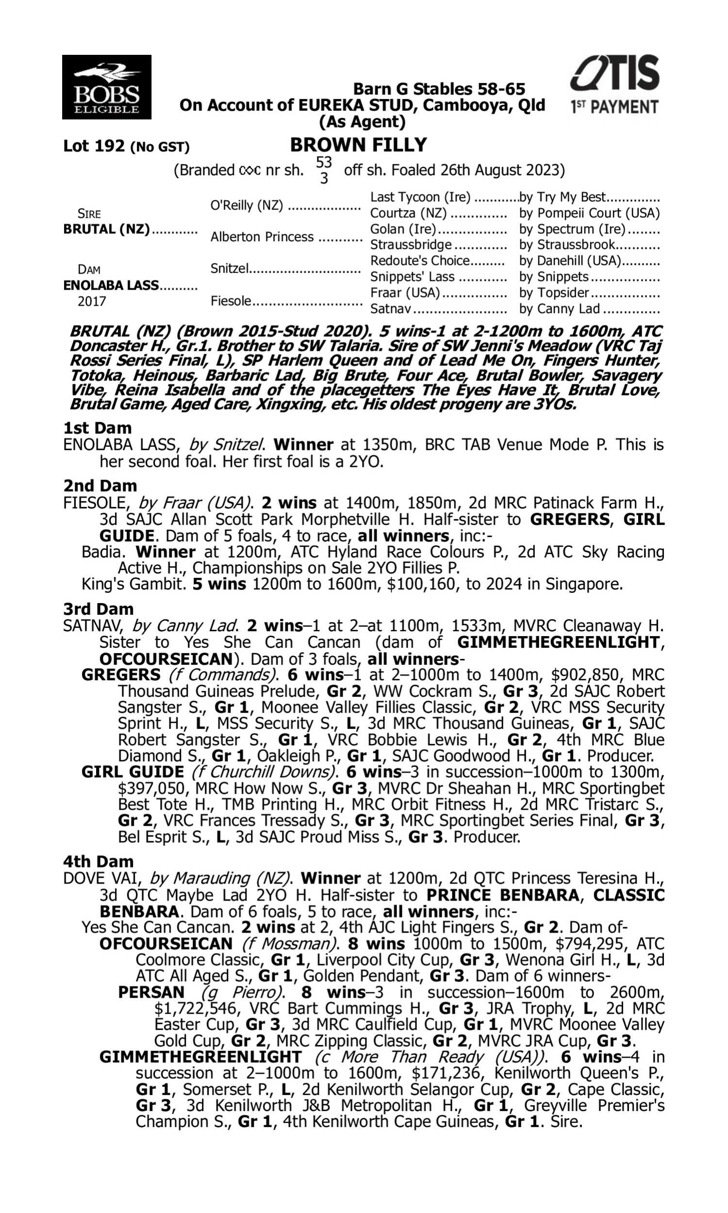 Pedigree for Lot 192 Brutal (NZ) - Enolaba Lass