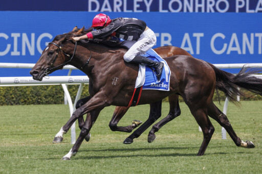 2YOs shine as autumn features loom