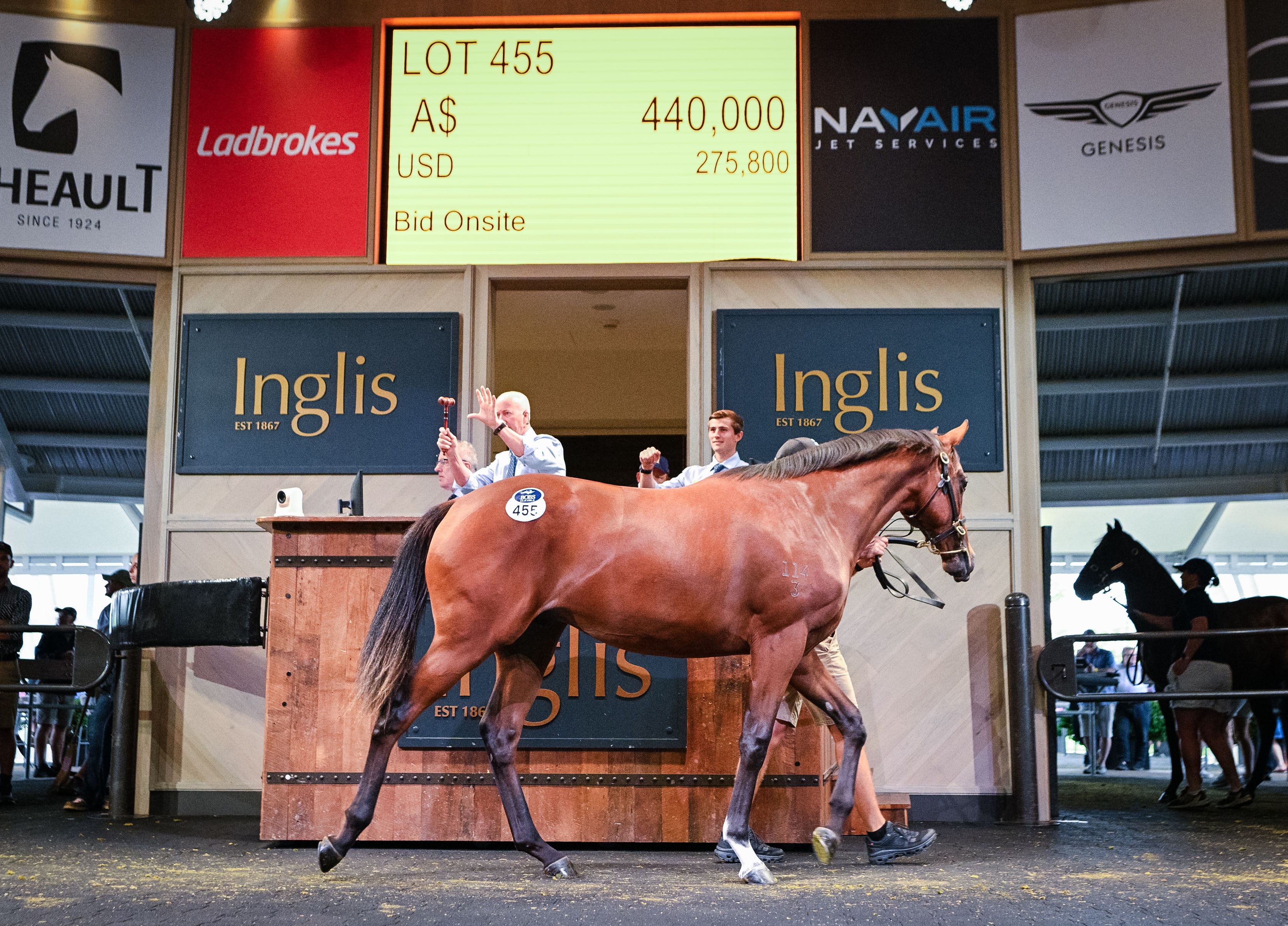Arrowfield leads the way on strong Day 2 of Classic