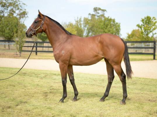 Lot 634: Overshare / Enduring Love