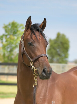 Lot 634: Overshare / Enduring Love