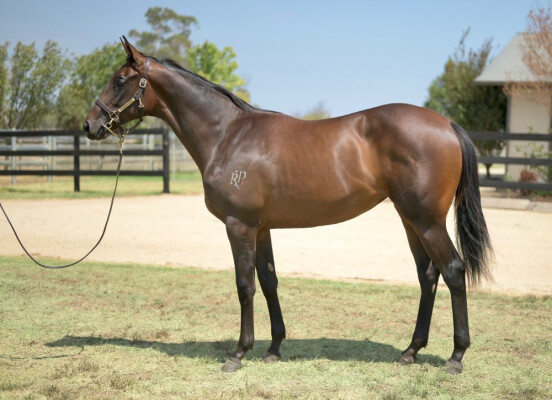 Lot 731: Kermadec (NZ) / Restless Soul (GB)