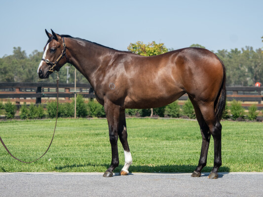 Lot 798: Russian Revolution / What a Girl