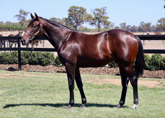 Lot 440: Dirty Work / Saxy Grace