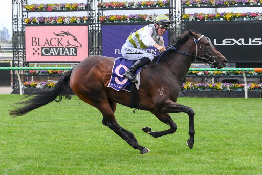 Skybird flies to stunning G1 Lightning Stakes victory