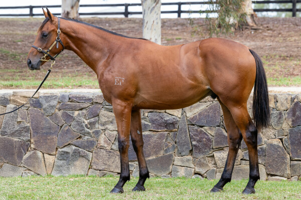 Lot 39: Written By / Anyana (GB)