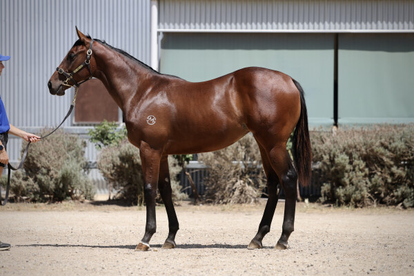Lot 259: Written Tycoon / La Paris