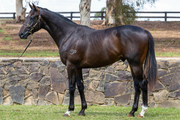 Lot 165: Stay Inside / Fadetta (USA)