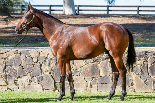 Lot 623: Rubick / Devout