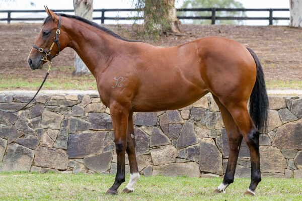 Lot 700: I Am Immortal / My Lady's Chamber