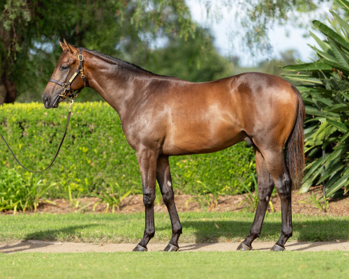 Lot 144: Ole Kirk / Divanation