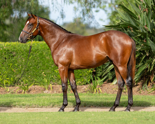 Lot 168: Stay Inside / Fast Fleet