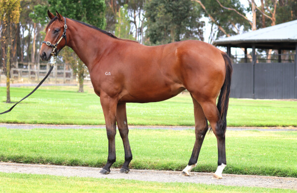 Lot 592: Hanseatic / Bribery