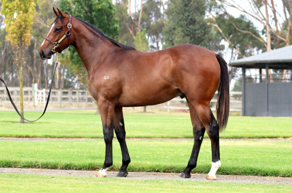 Lot 505: Exceedance / Super Snob