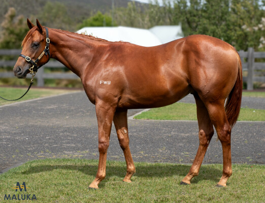 Lot 602: Dirty Work / Can't Fight Love