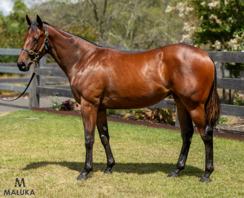 Lot 412: Dirty Work / River Delta