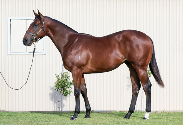 Lot 100: Home Affairs / Chaleur Bay